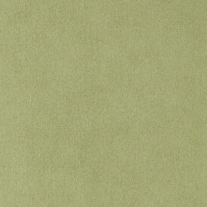 Fern 4484