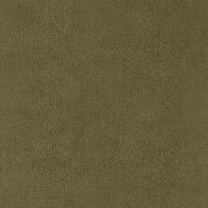 Moss 4341