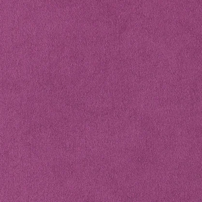 Orchid 9480