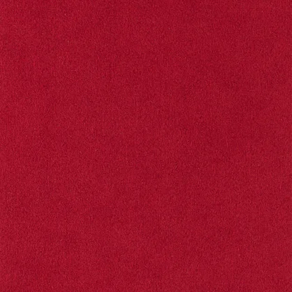 Tomato 1334