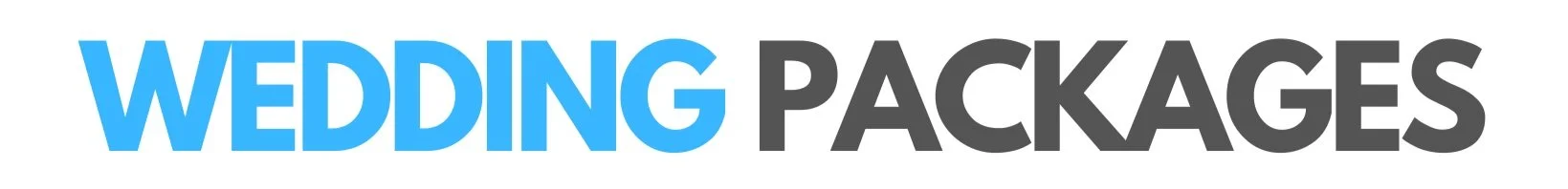 Wedding DJ Entertainment for Columbia & Lexington, South Carolina