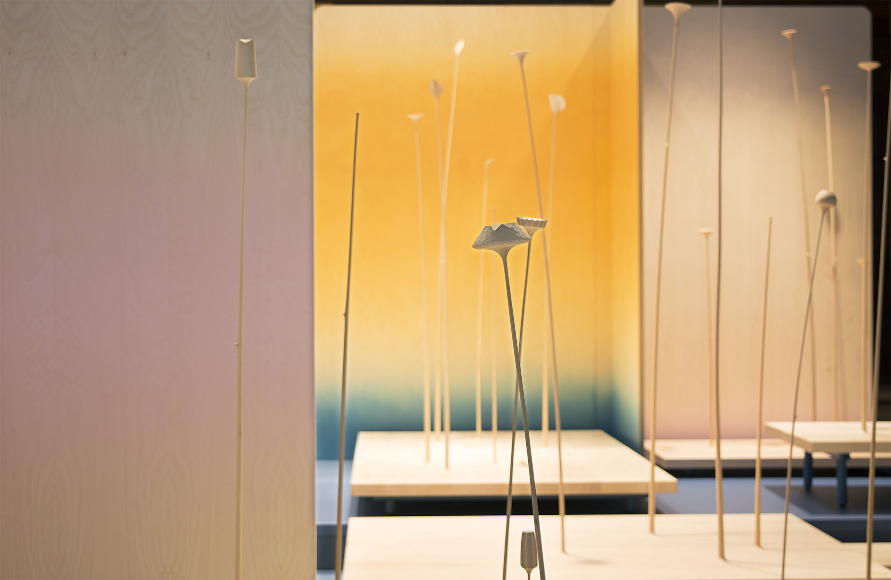 kukkii -installation13.jpg
