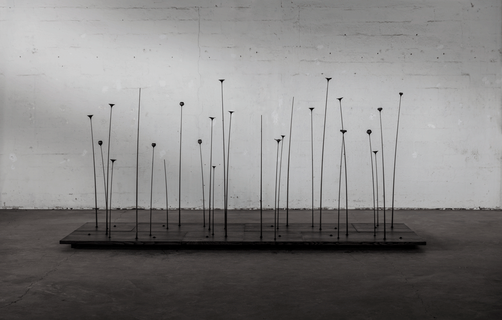 Pojat-Fiori-Timelapse.gif