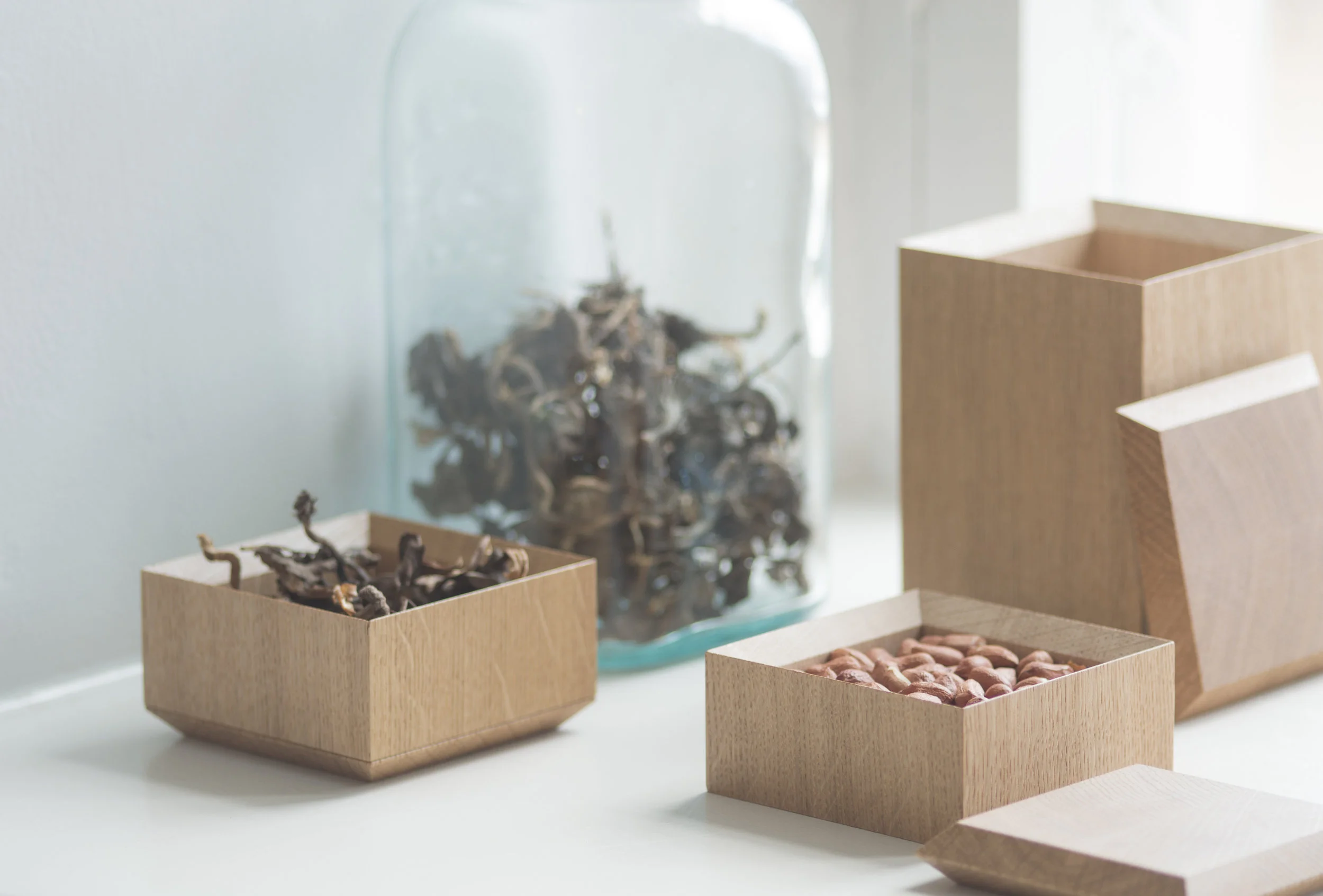 Pino_Photo by Antrei Hartikainen4.JPG