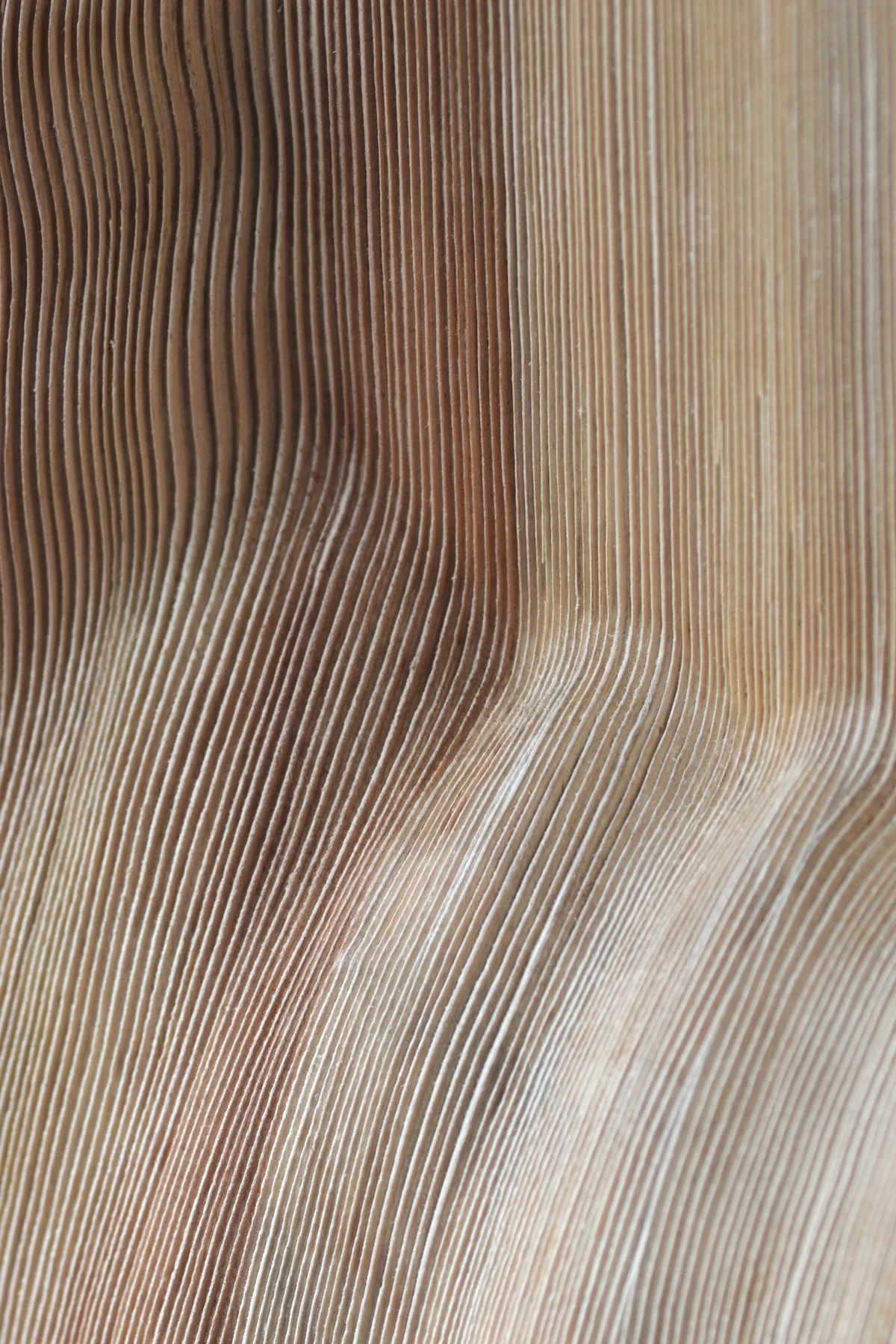 TRACES wall sculpture