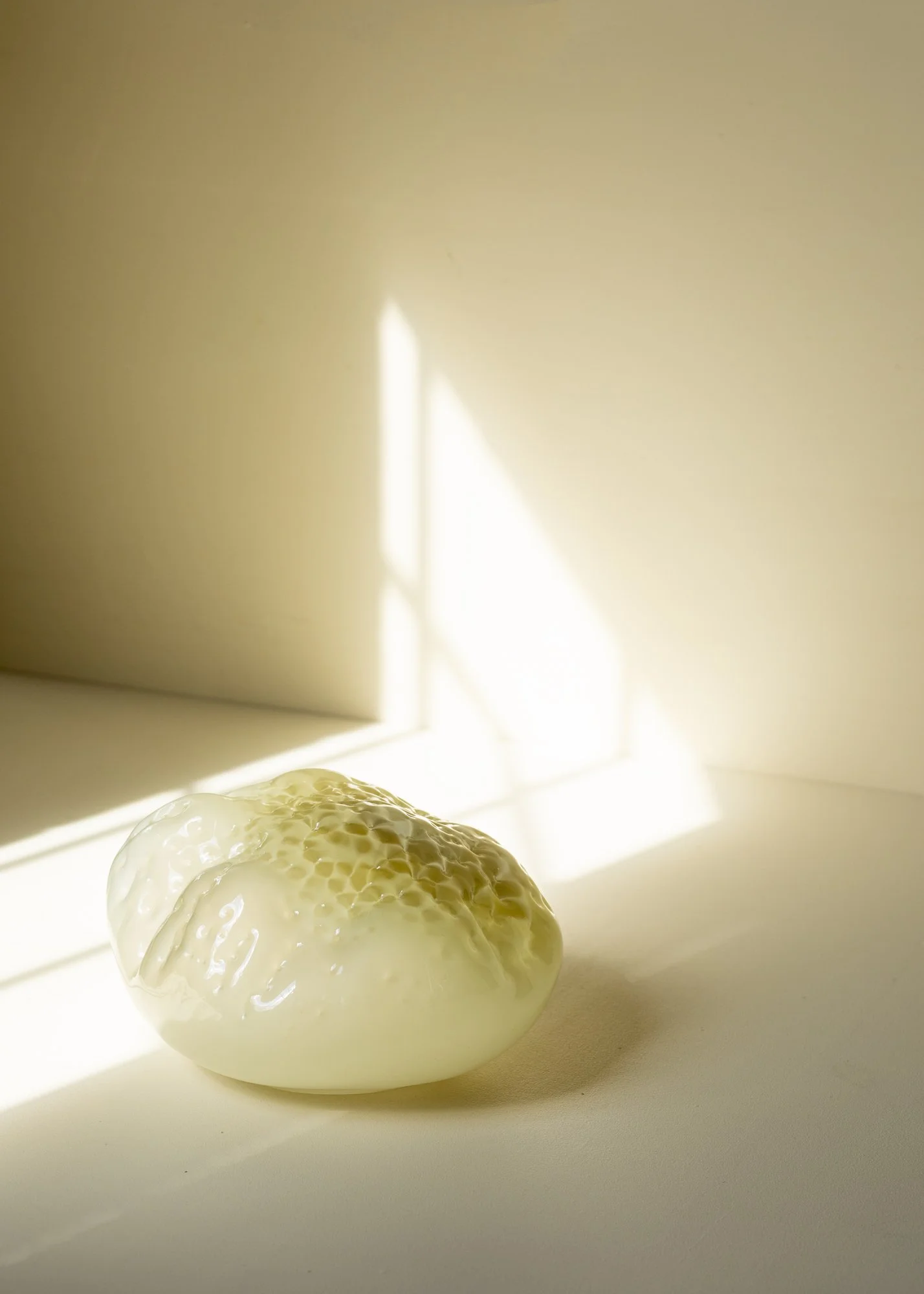 Symbiosis_PhotographyByRistoMusta_5542_LoRes.jpg
