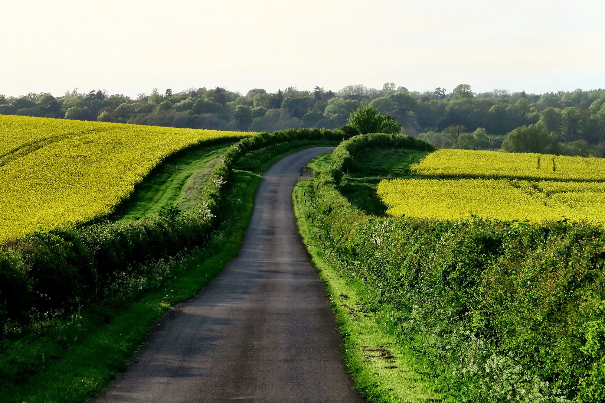 BanksRoadPartners-Investment-Approach-web.jpg