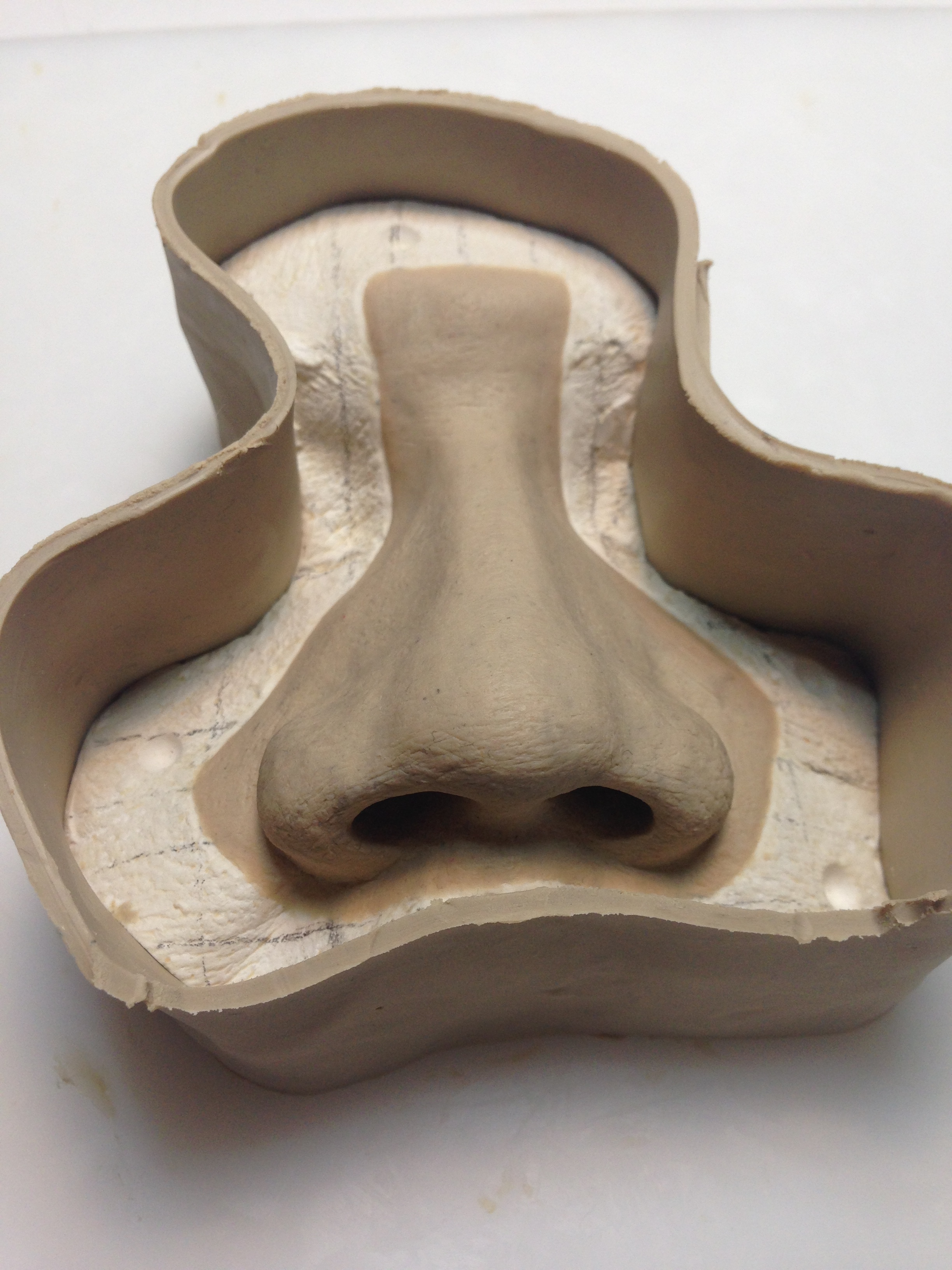 Nose Prosthesis Clay Modeling