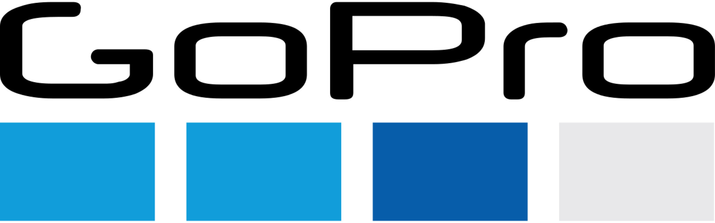 GoPro Logo.jpg
