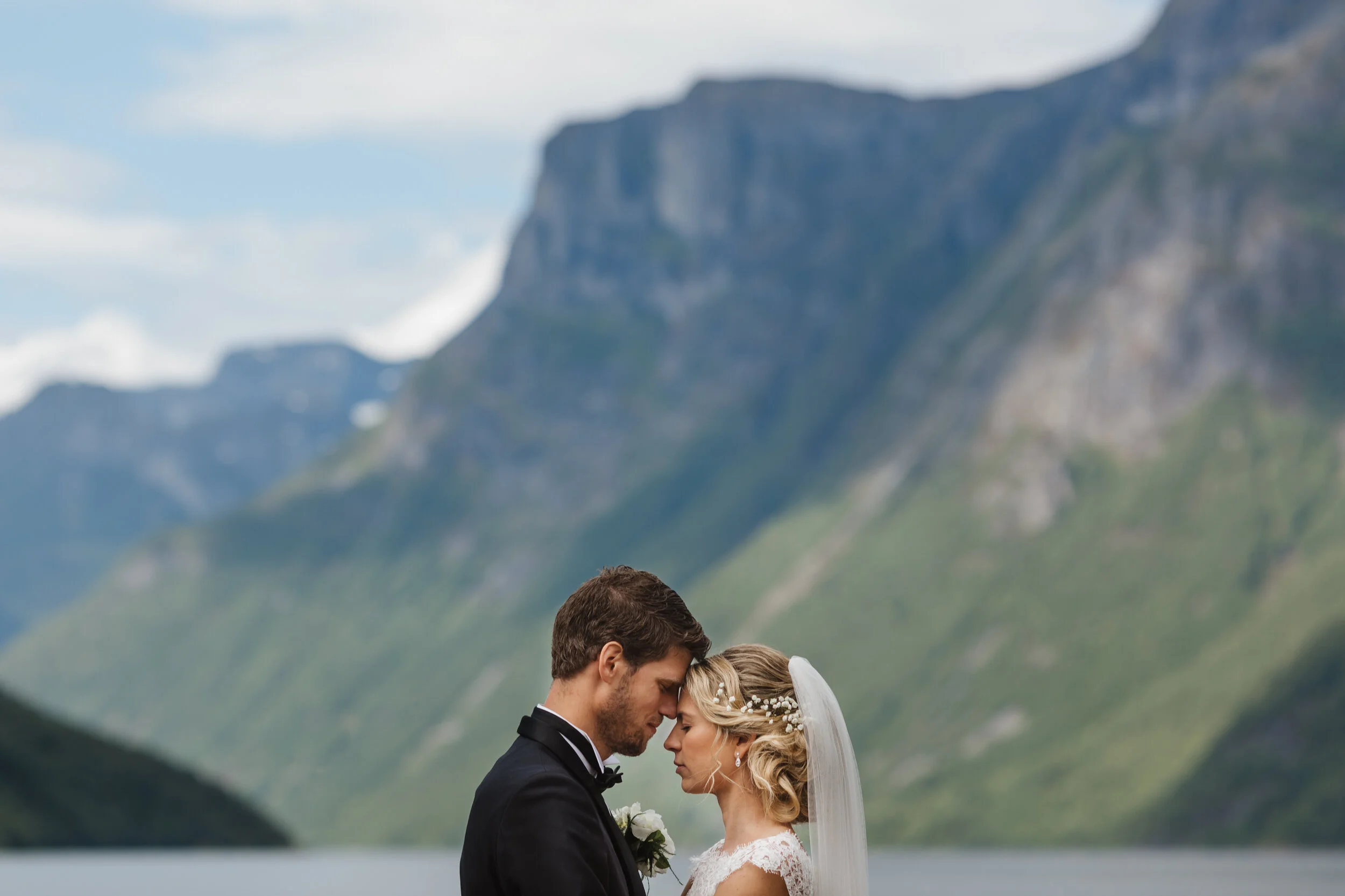 bjørke-5.jpg