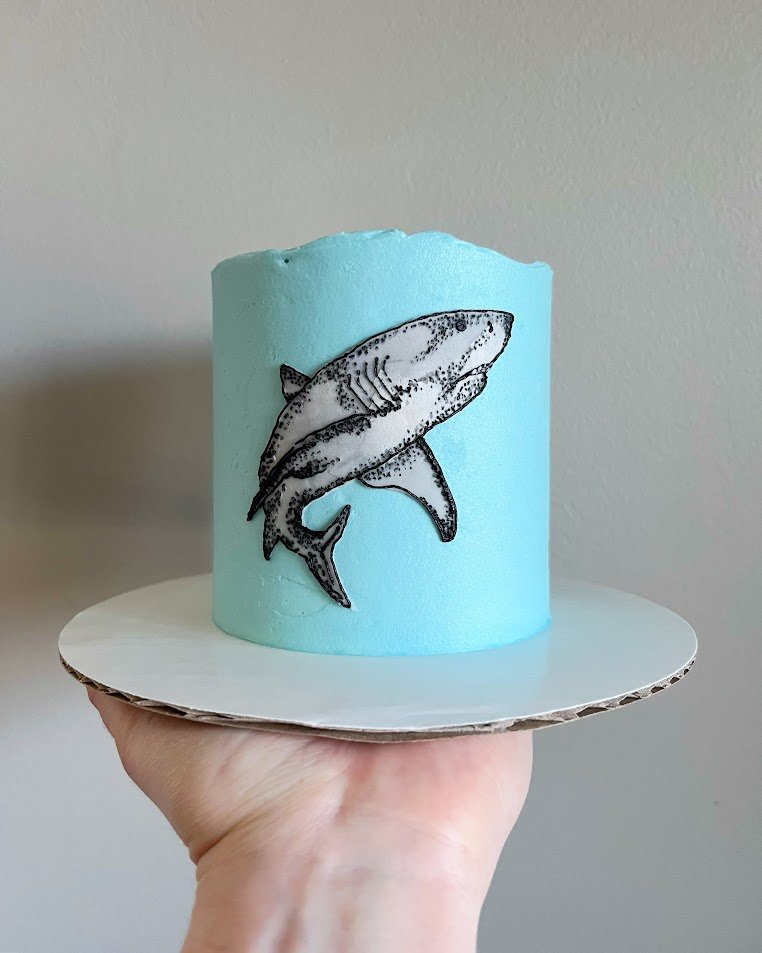 Shark Cake