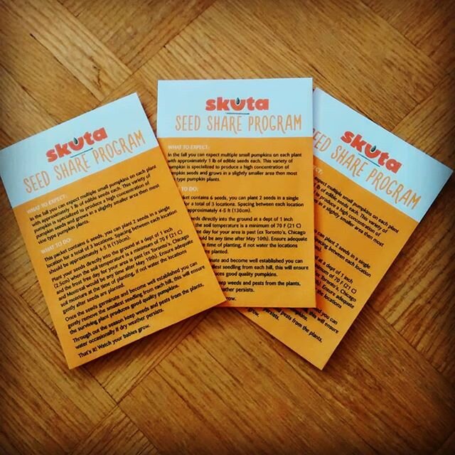 So excited to grow these pumpkins from @skutapumpkin this year! They donated a box of seeds to Food Up Front. Anyone else love pepitas?
