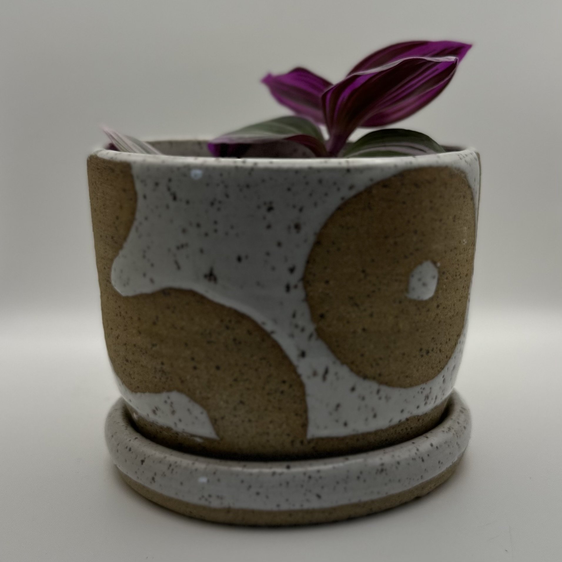 Planter and drainage dish
