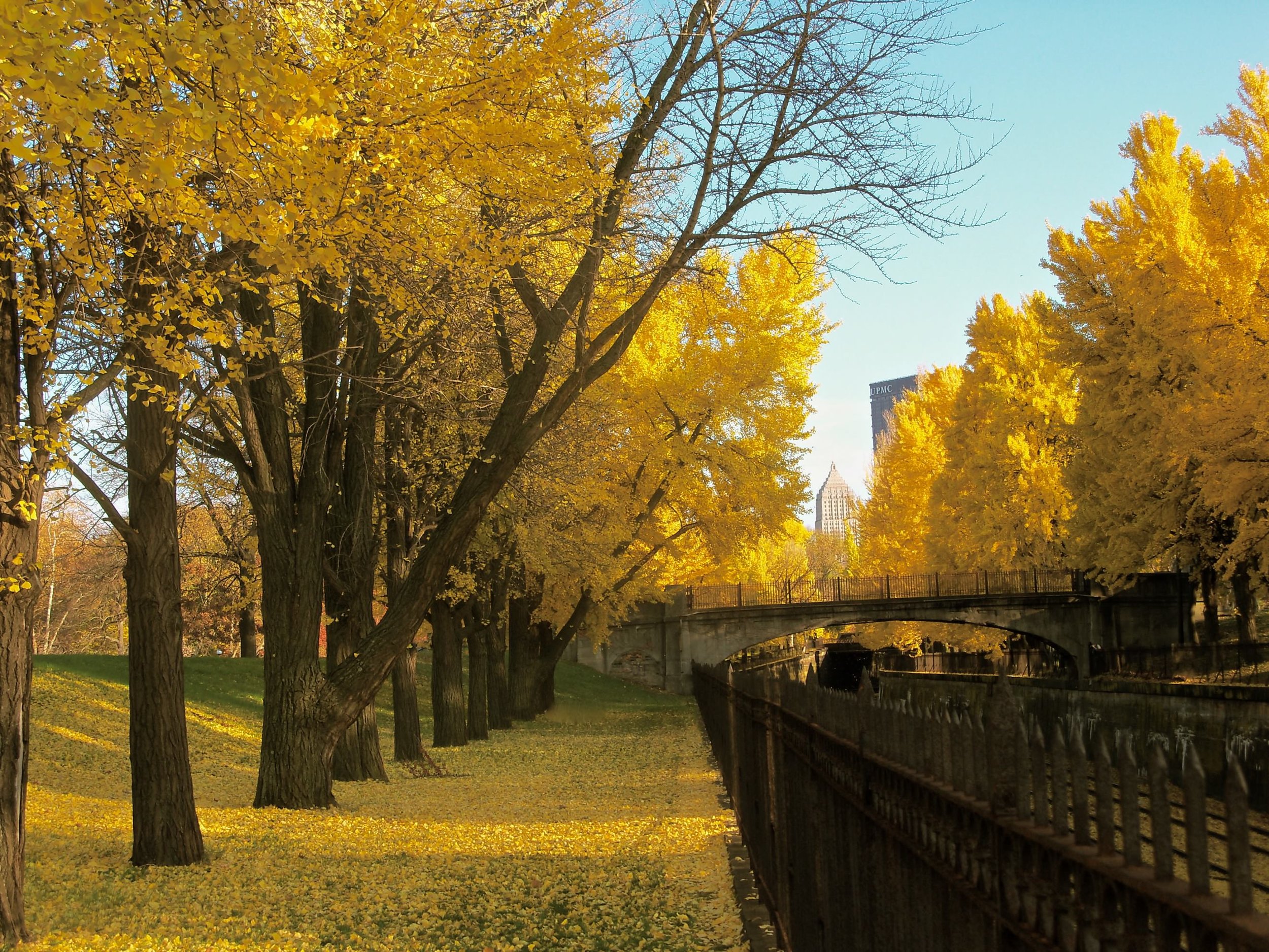 Pittsburgh2011 Fall.jpg