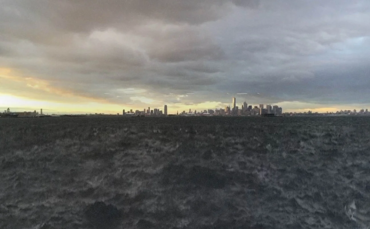 Galapagos Music Video Release Poster_v3_noType.jpg