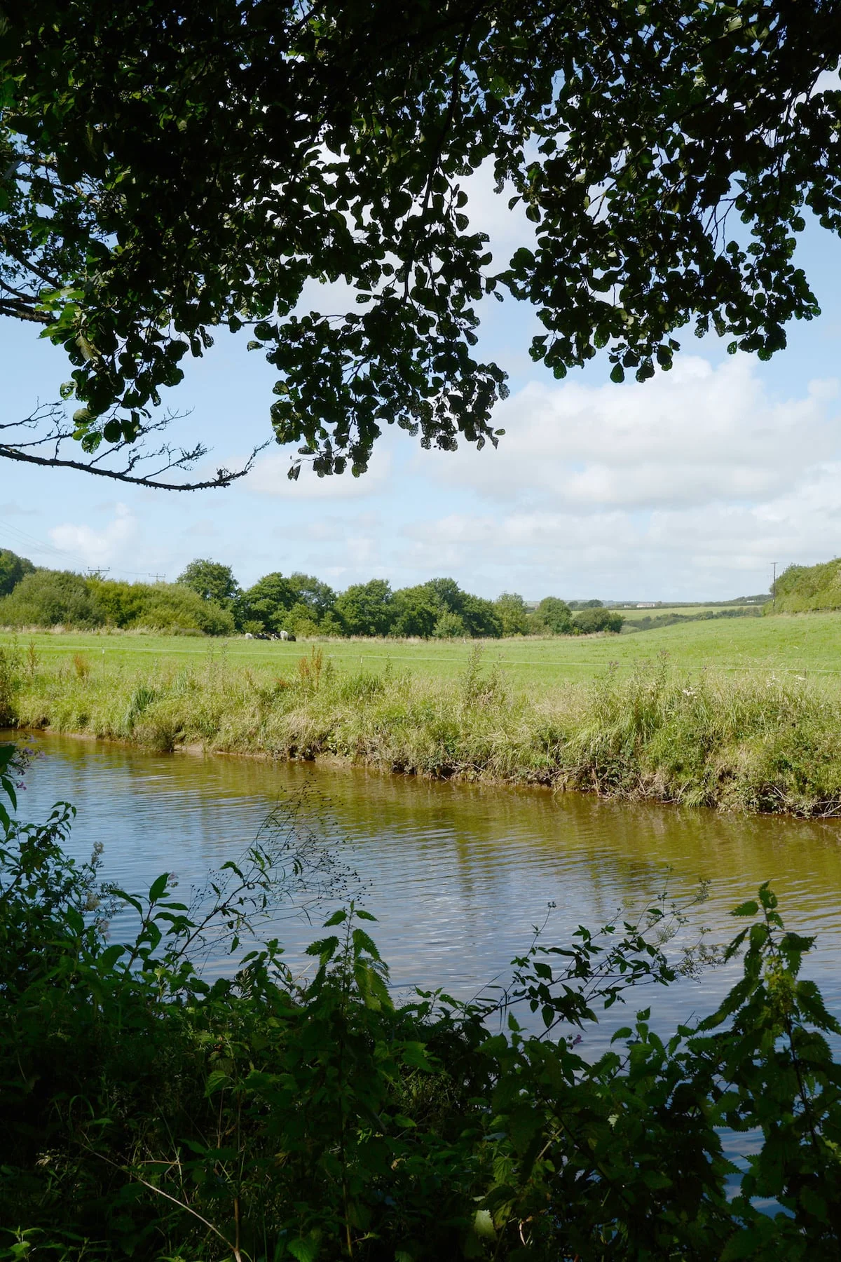 Marhamchurch to Bude Canal footpath