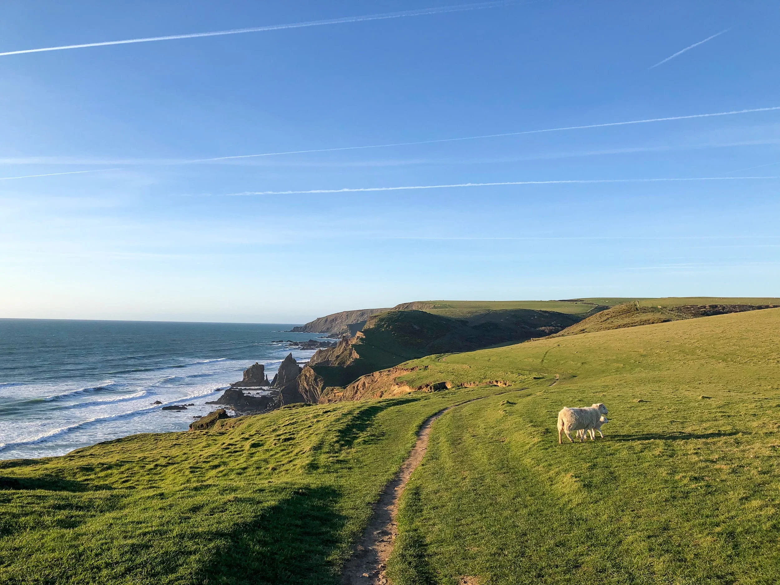 Part of the South West Coast Path, between Northcott Mouth and Sandymouth