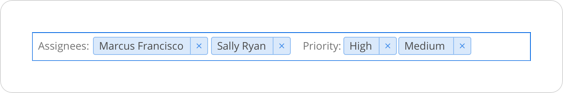 Example of filters after user enters values