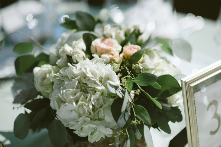 Brackish Photography