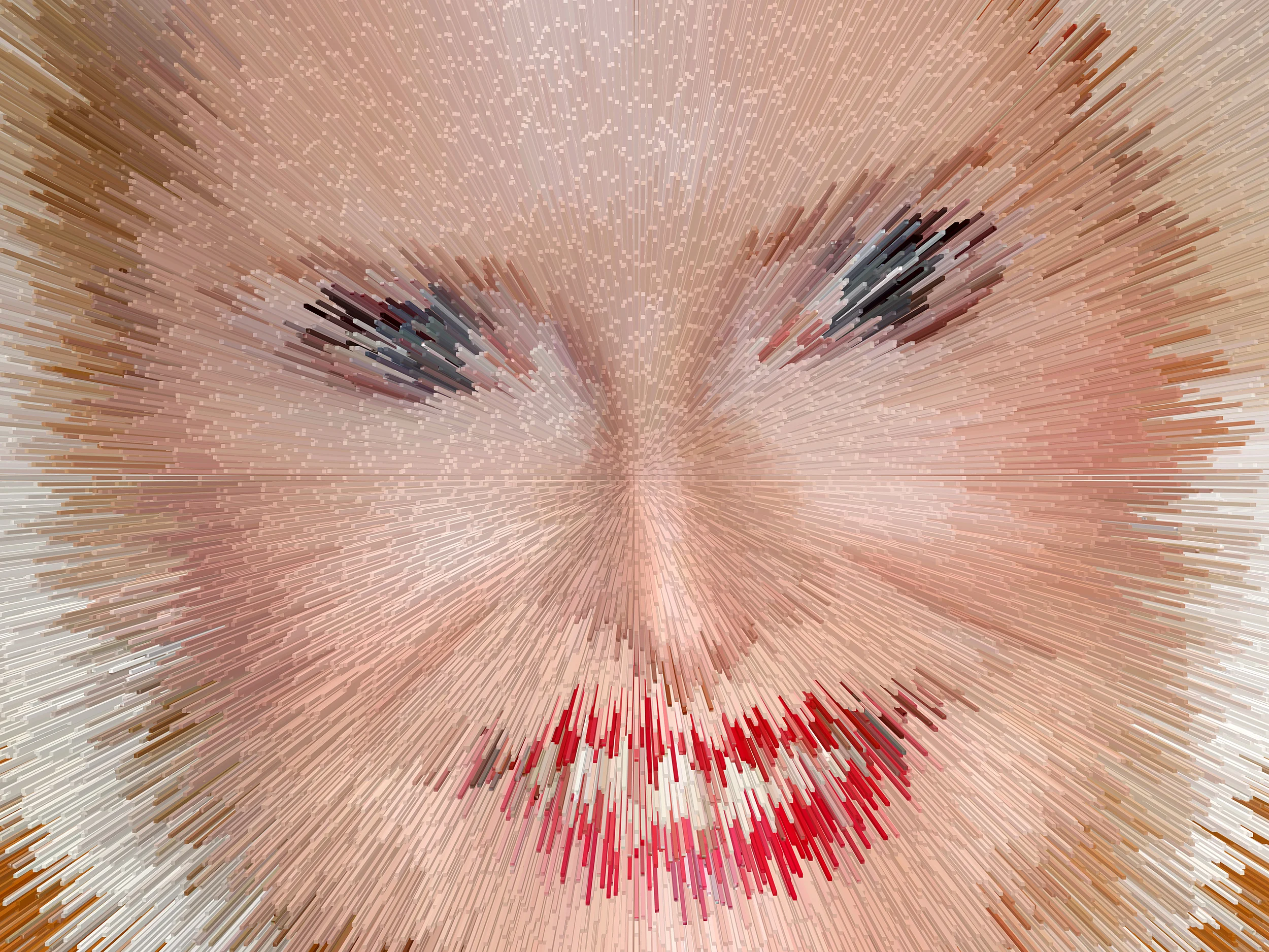 CALLISTA GINGRICH
