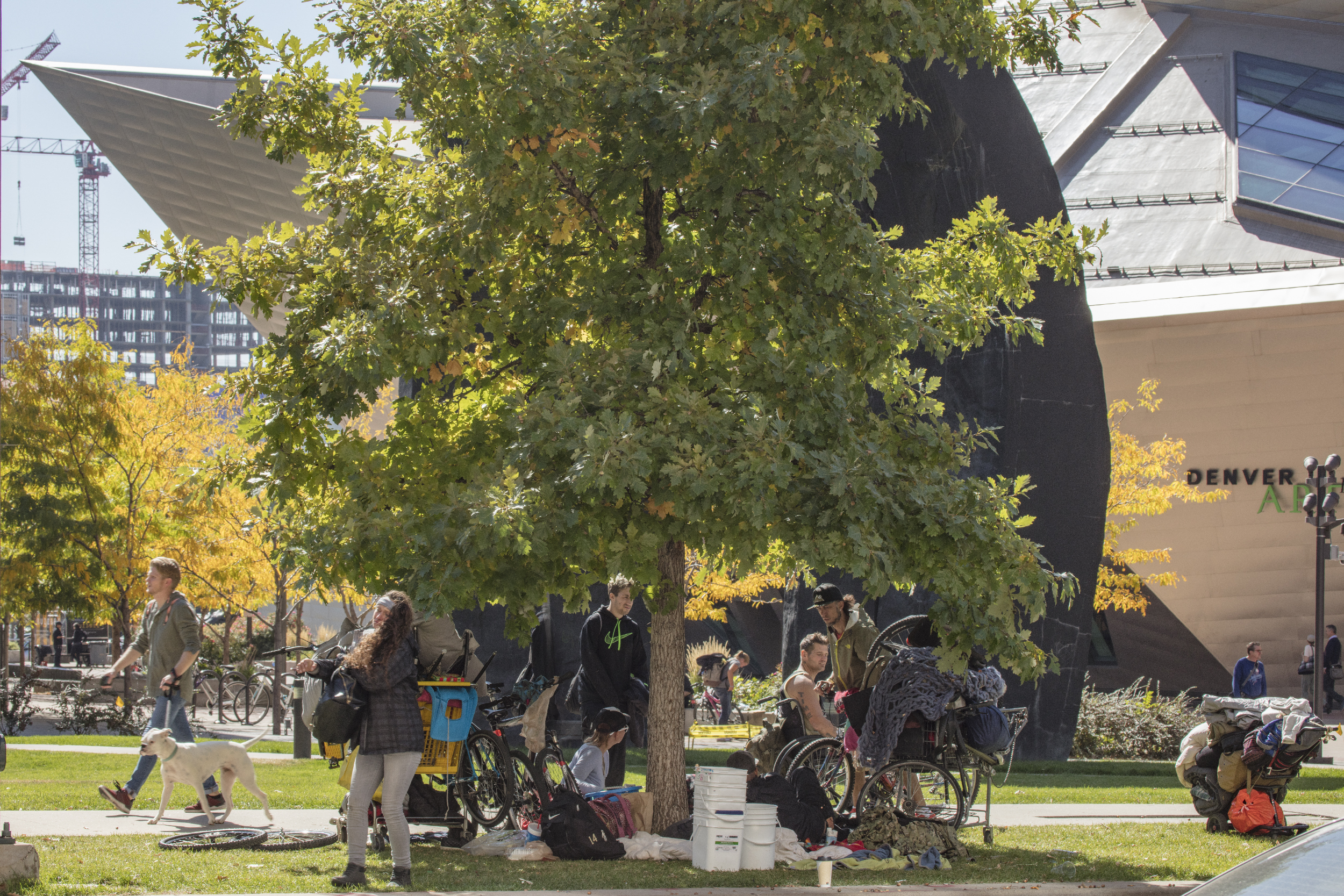 HOMELESS YOUTH/ART MUSEUM