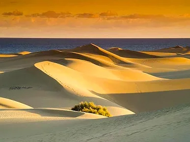 dunas.jpg