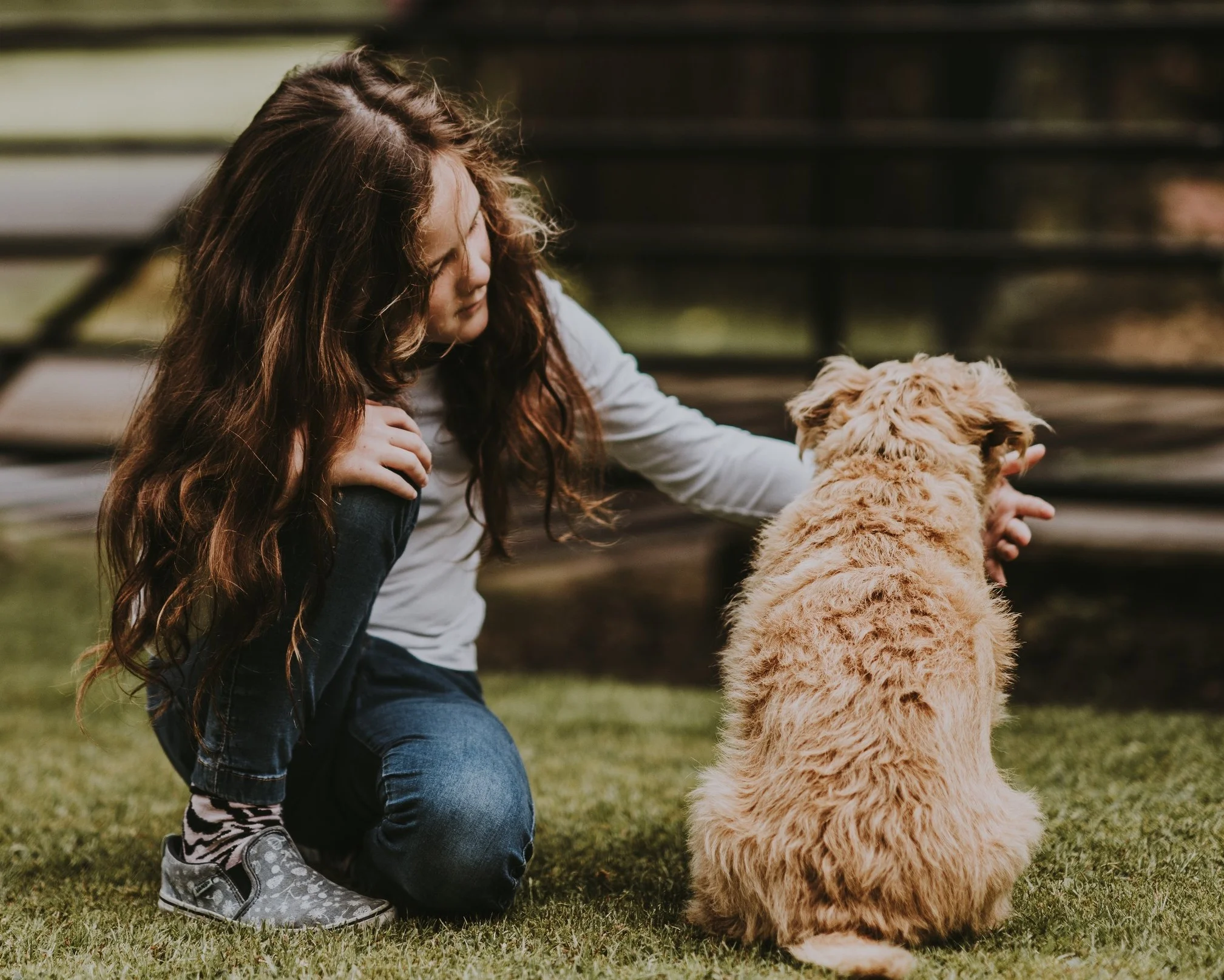 annie-spratt-706835-unsplash.jpg