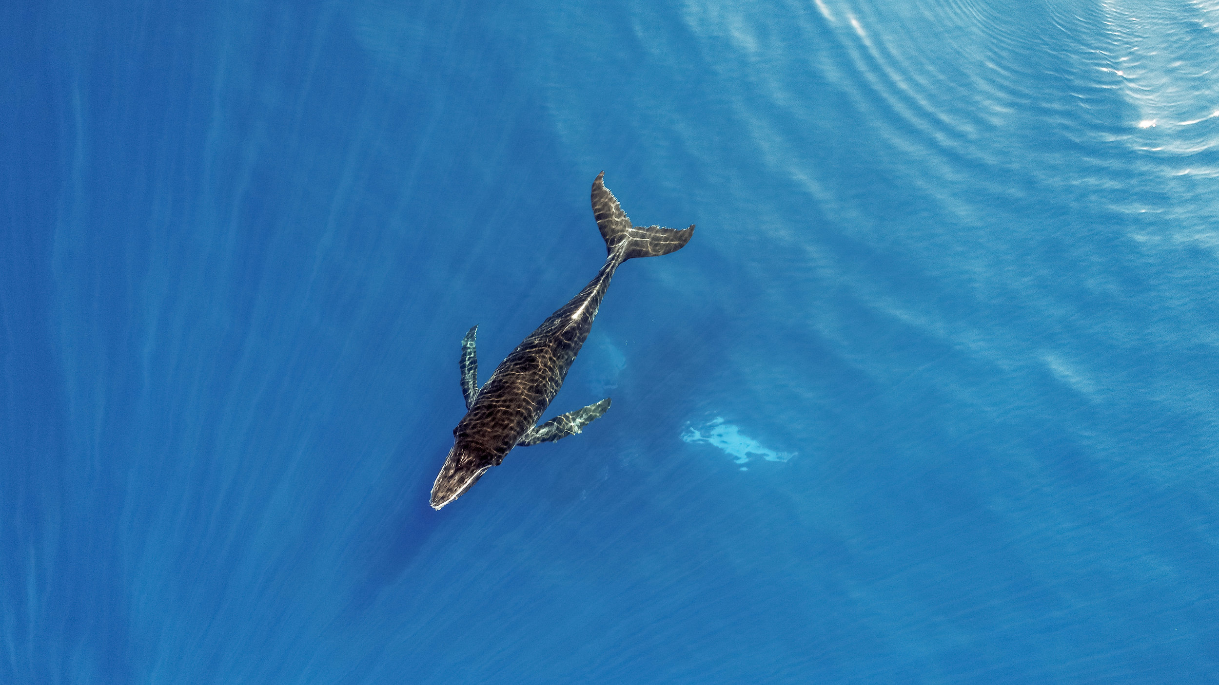 DJI_0048.jpg