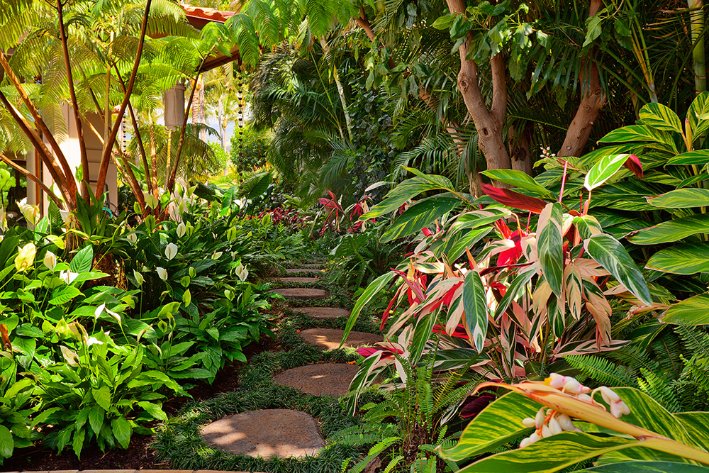 Grounds14.jpg