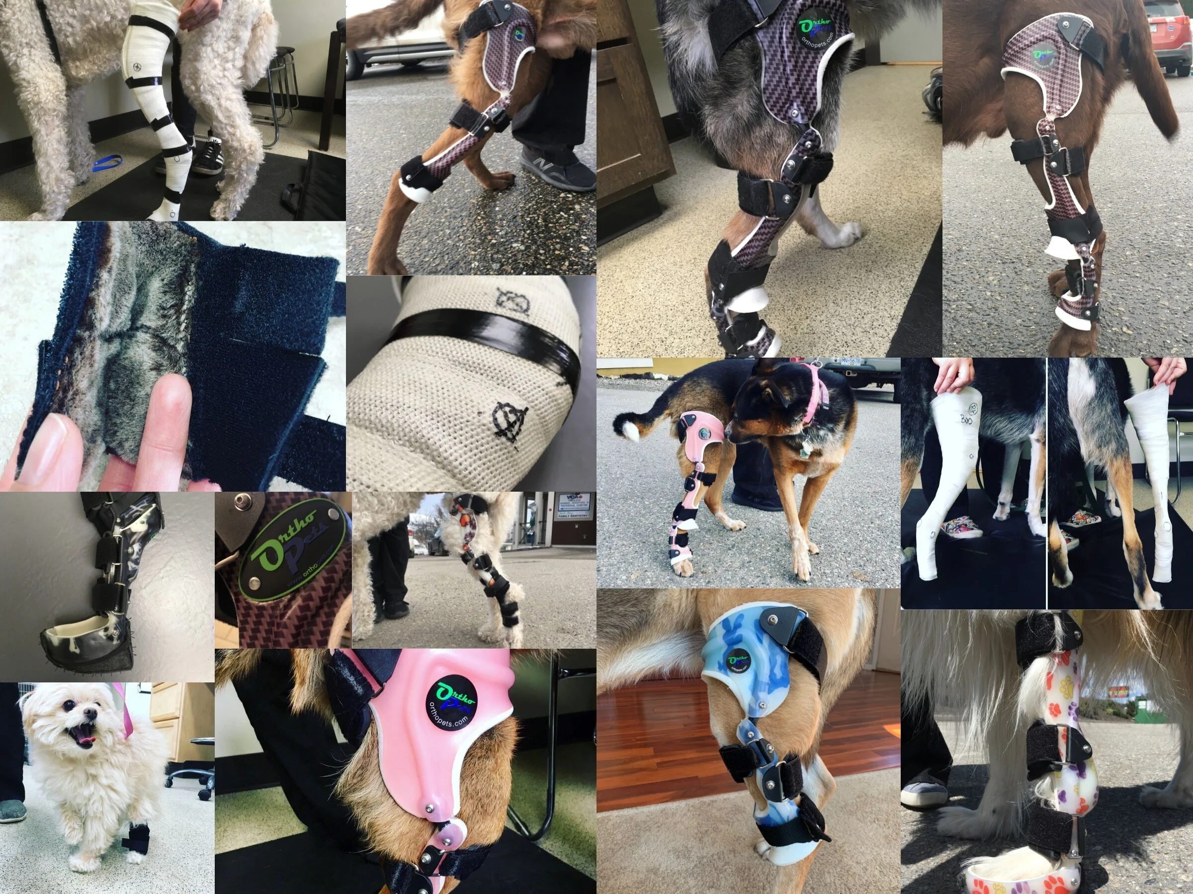 Orthotic Website Collage.jpg