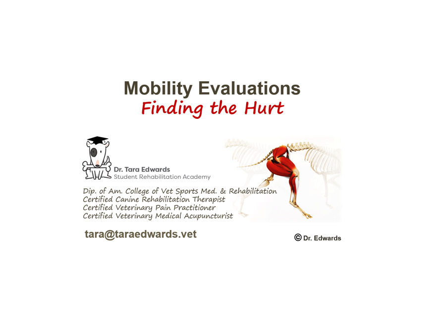 Mobility Evaluation White background.PNG