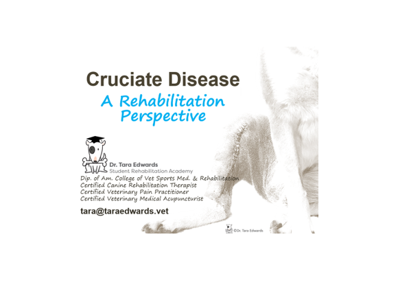 Cruciate Disease White Background.PNG