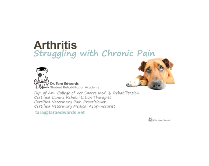 Arthritis White Backgorund 4.PNG