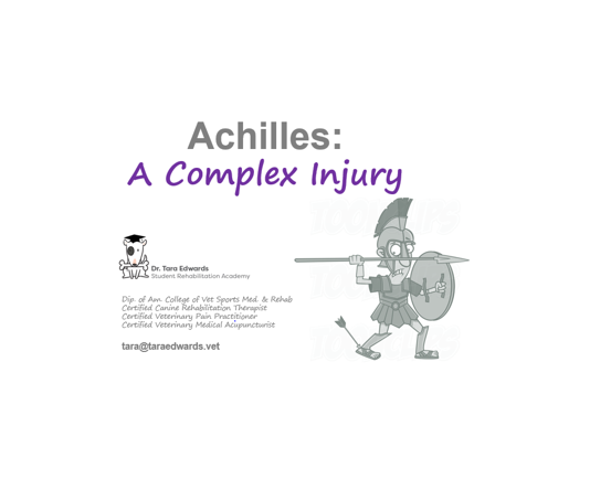 Achilles Small.PNG