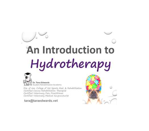 Hydrotherapy Small.PNG