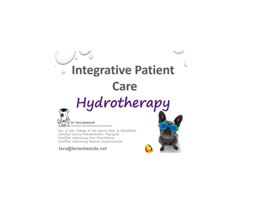 Hydrotherpay 2 Small.PNG