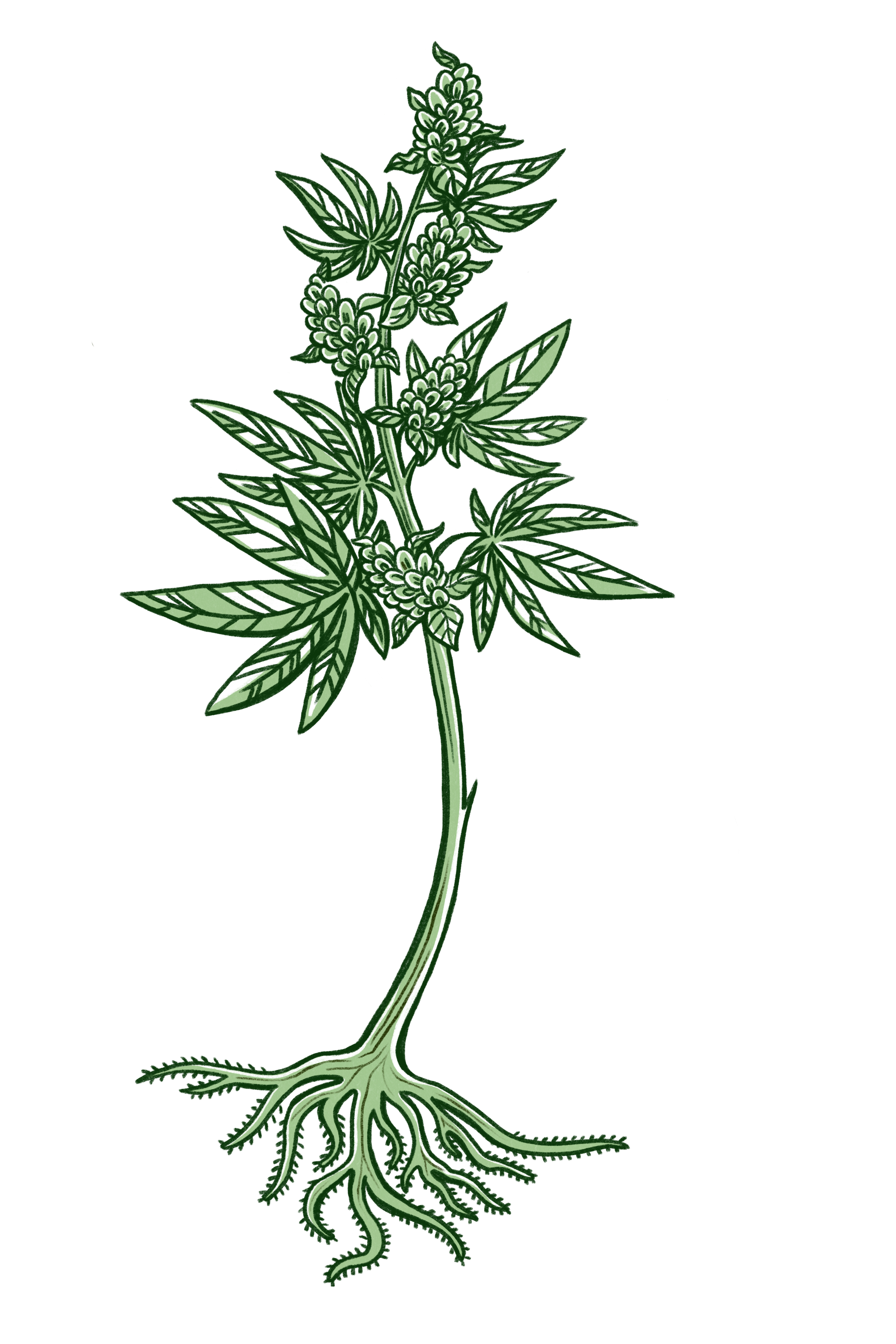 Mint Green Fill 1 copy.PNG