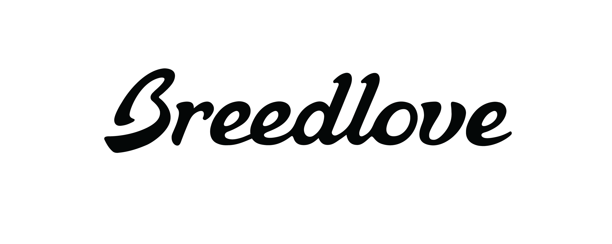 Breedlove-logo-final.png