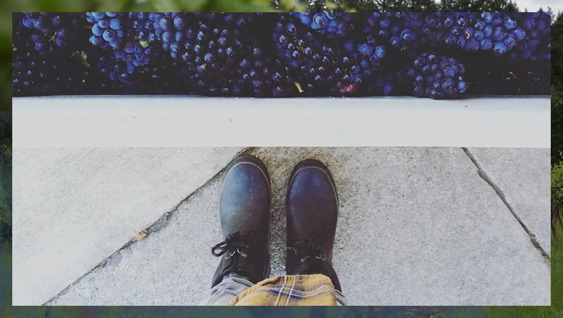 Grapes.jpg