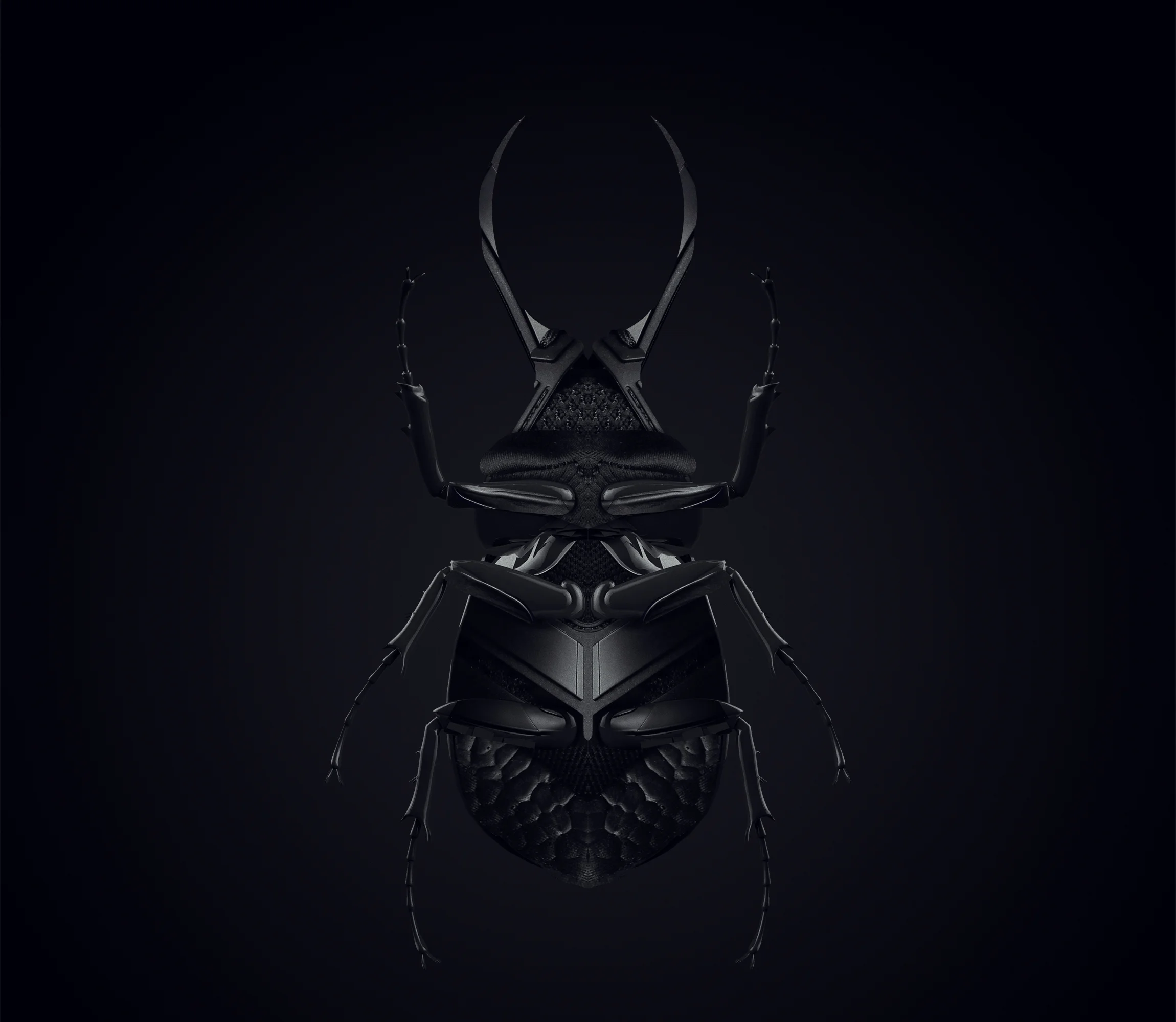 Beetle-02.jpg