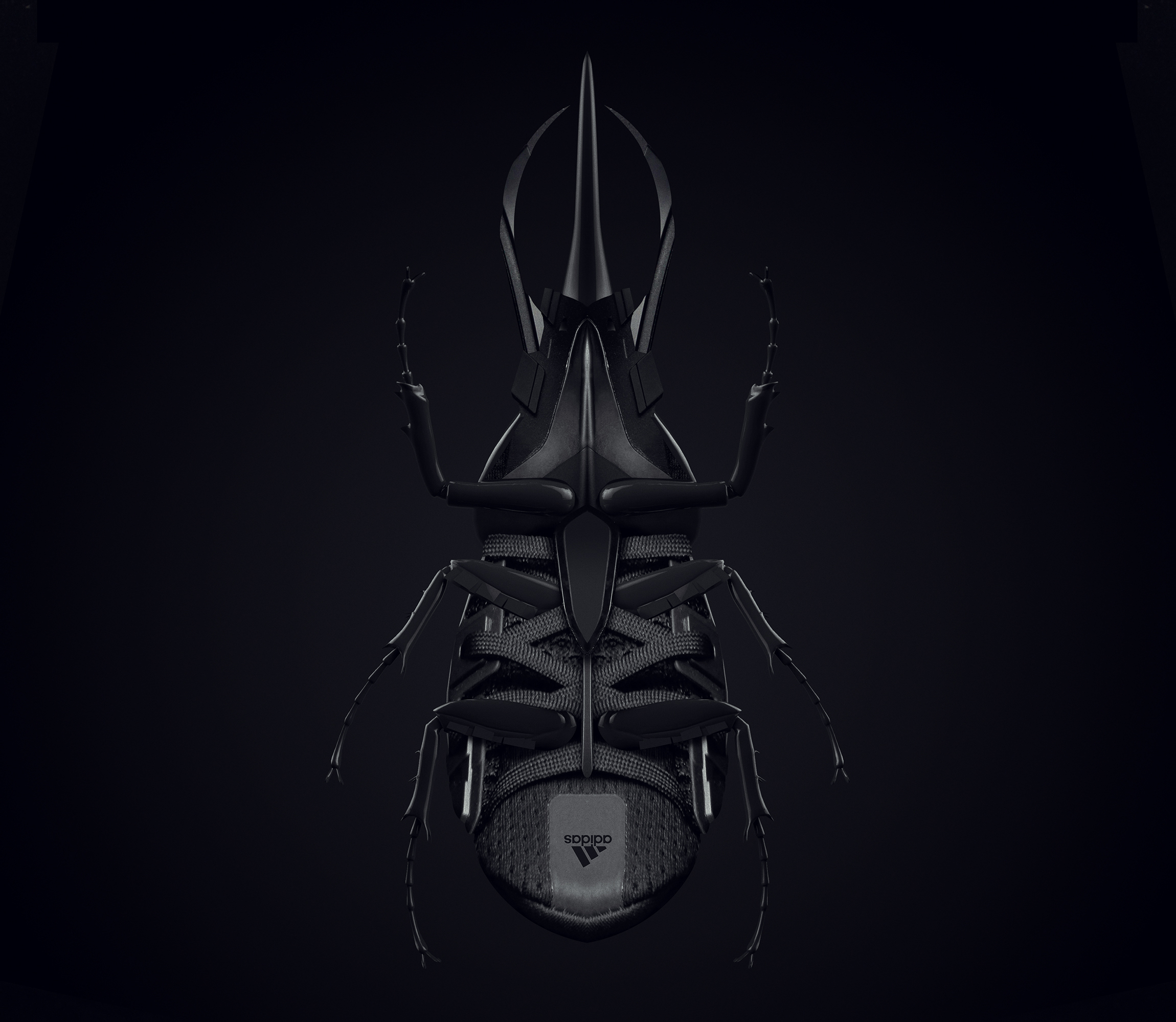 Beetle-03.jpg
