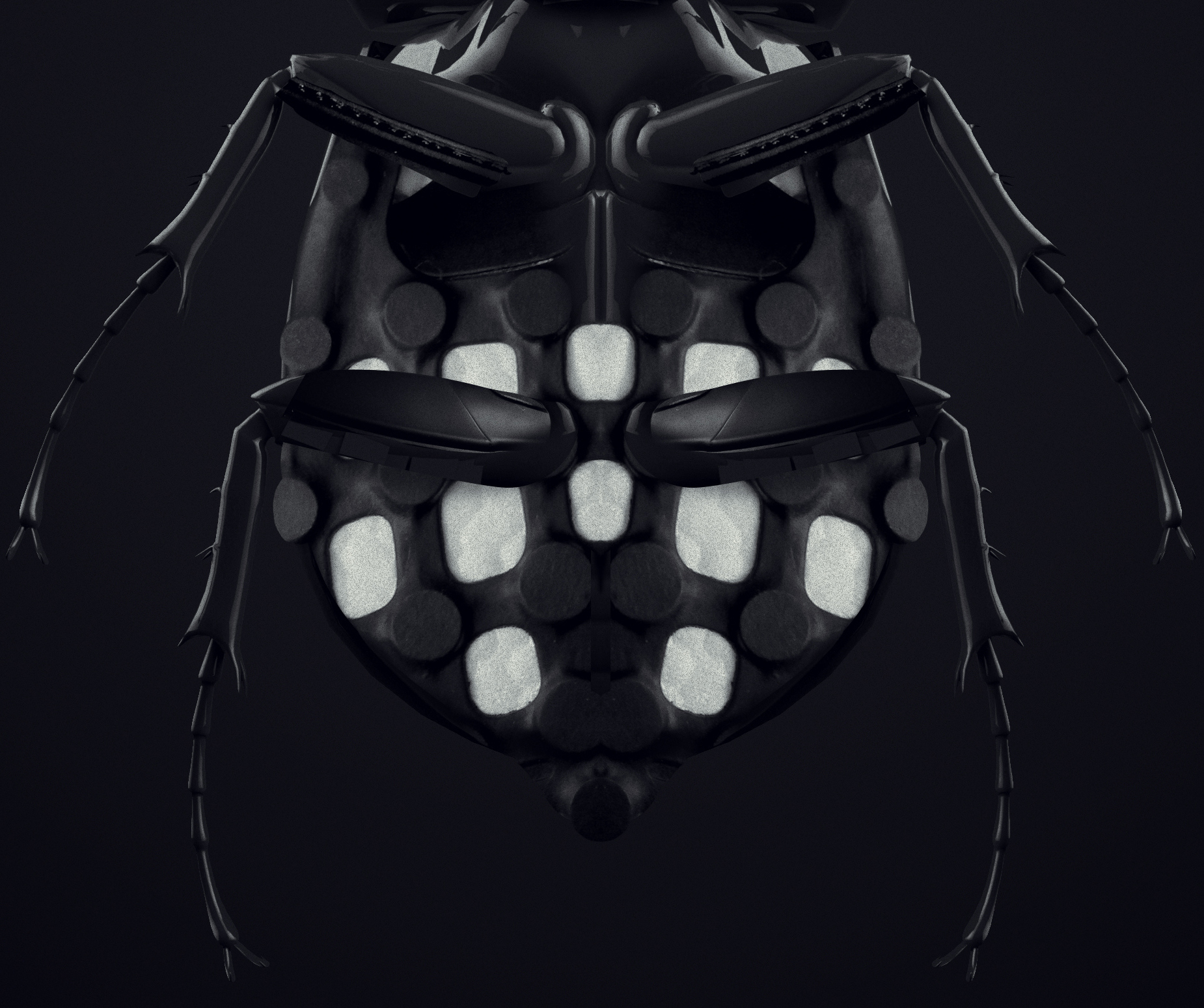 Beetle-Crop-01.jpg
