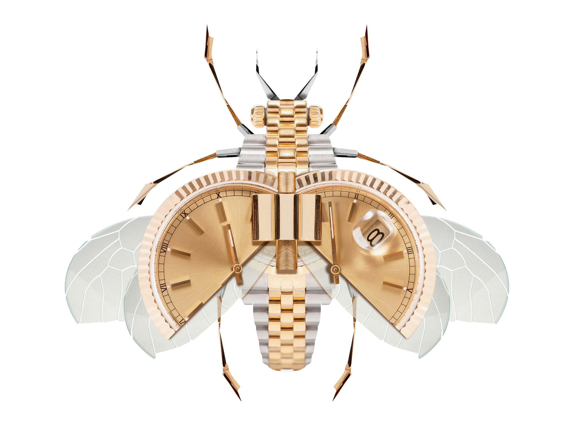 TIMEFLY-Banner.jpg