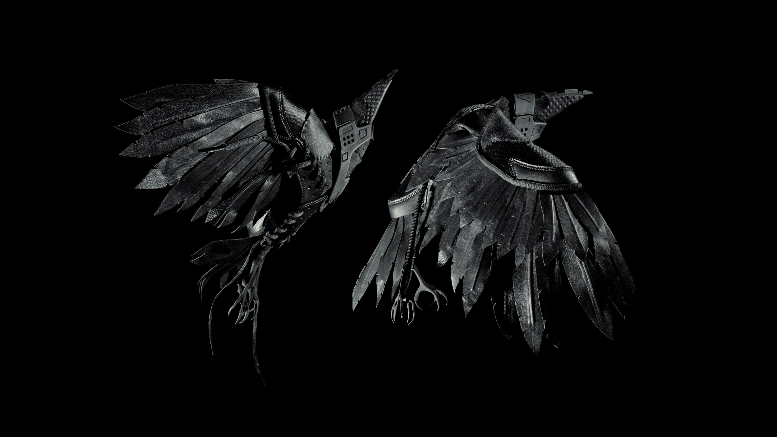 CROW 00.jpg