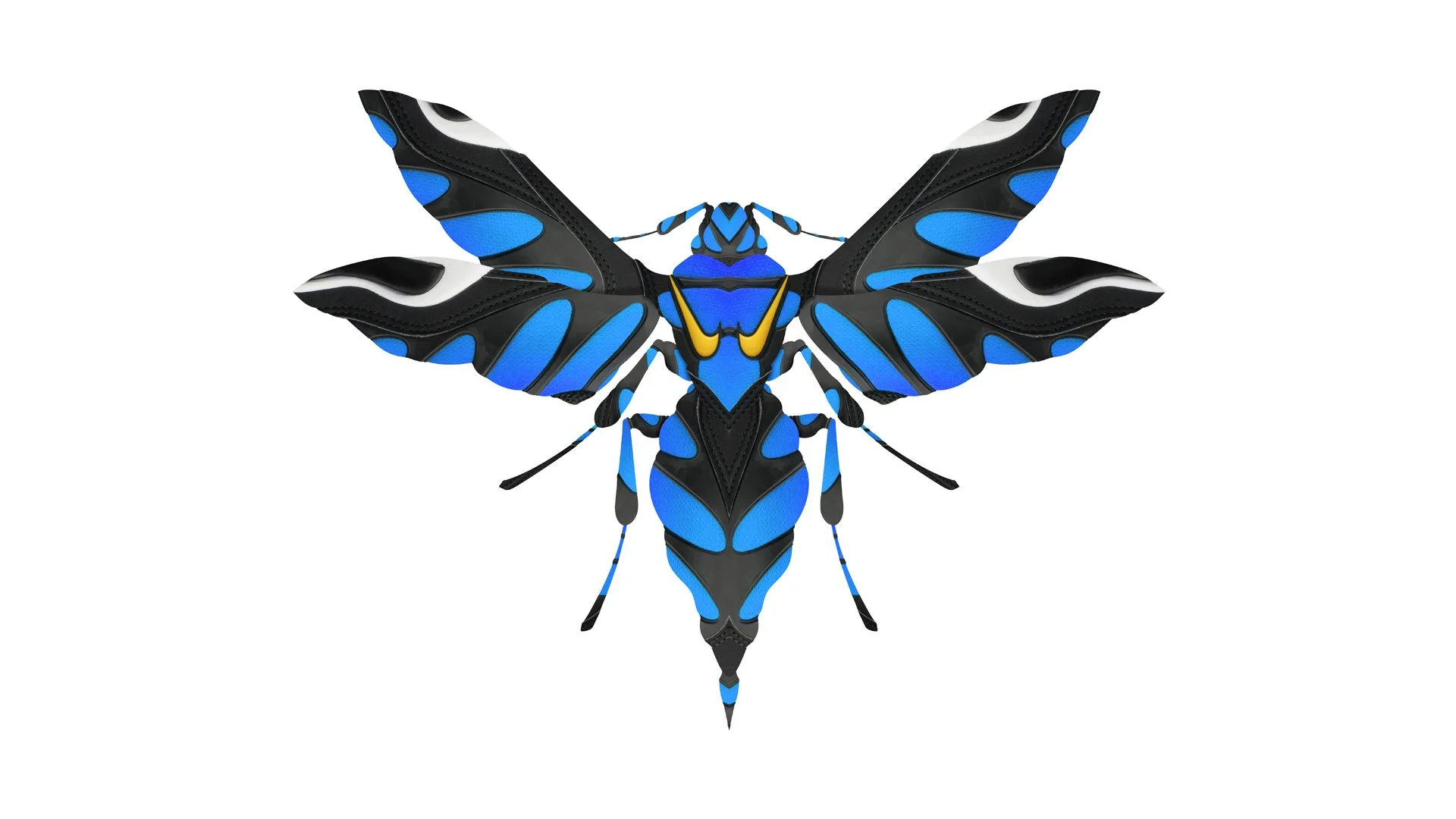 TN-Blue-FF.jpg