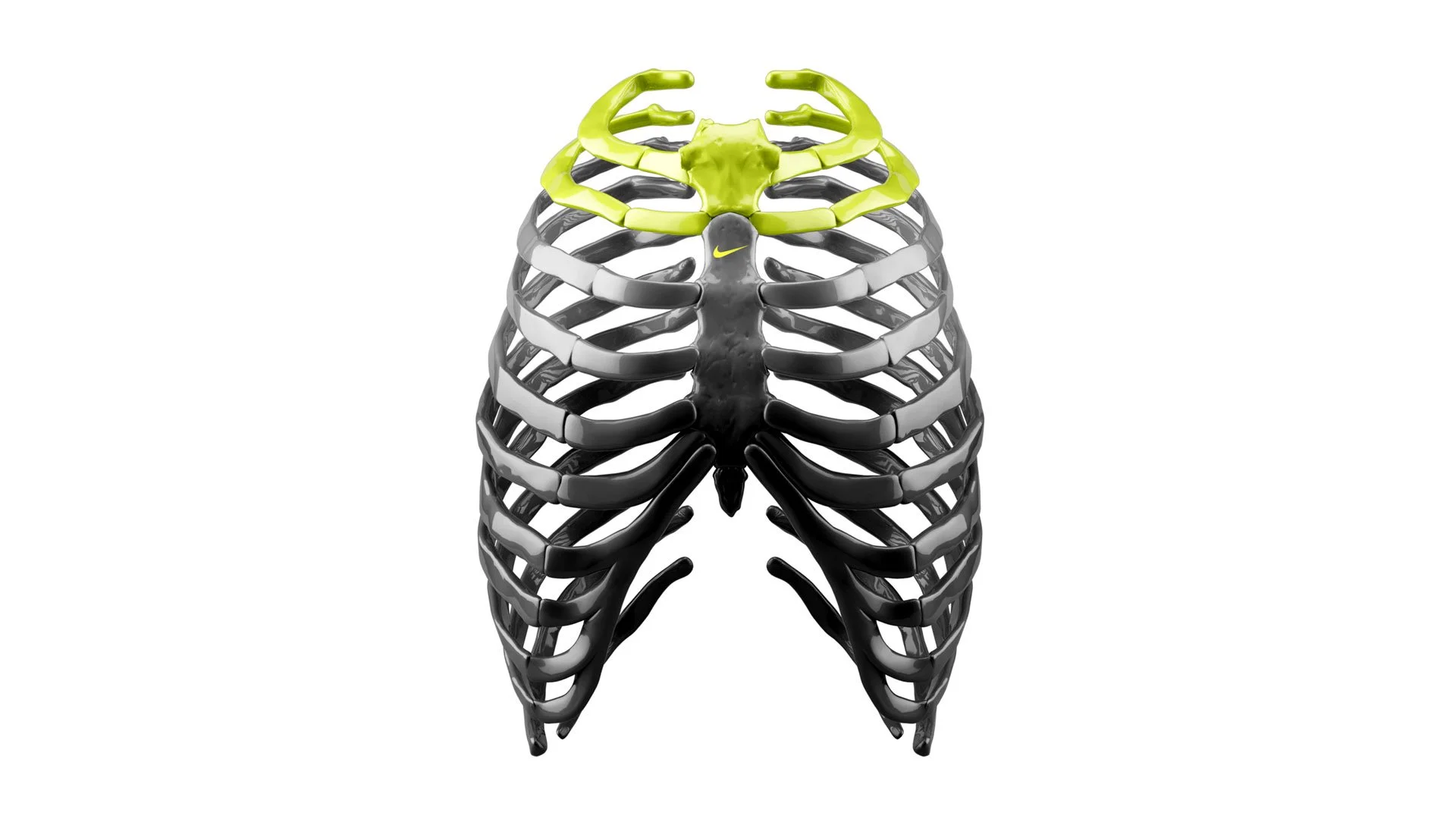 RIBS95-FILFURY-01.jpg