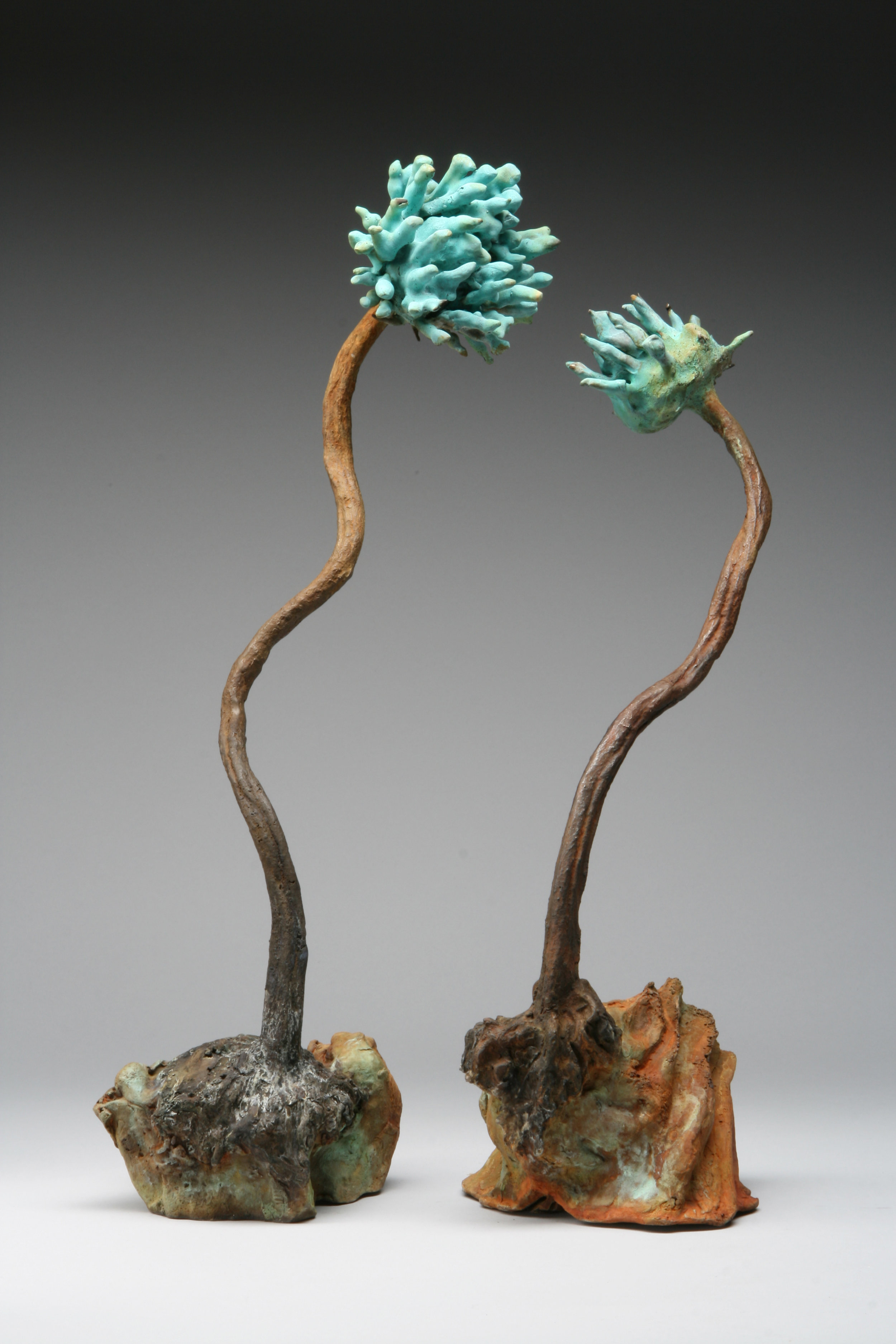 Image 20.jpg