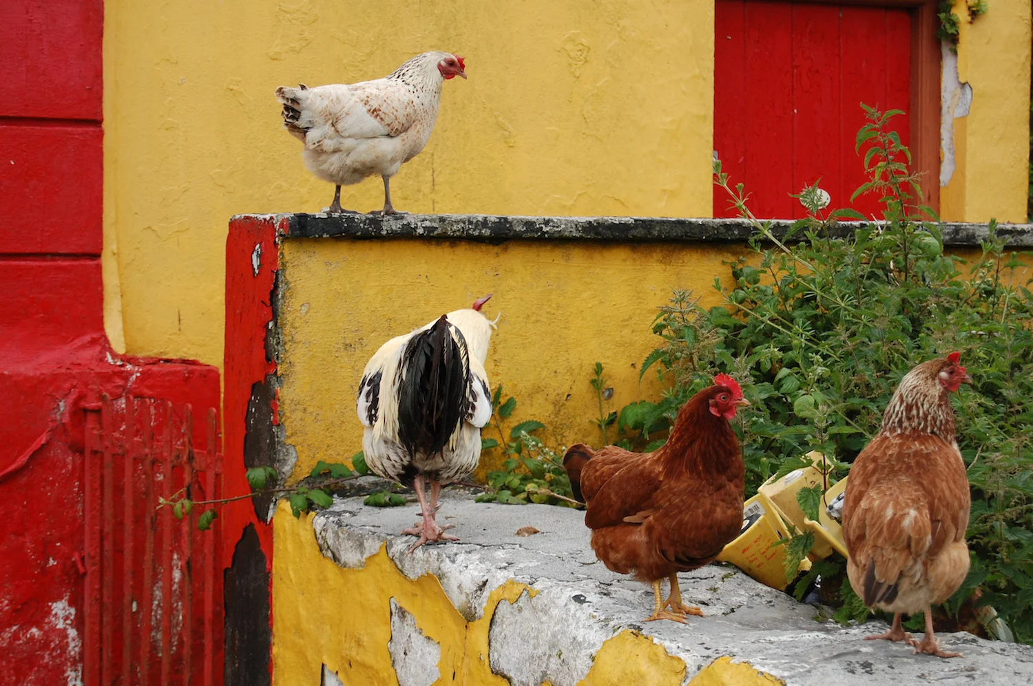 Galway, Ireland 