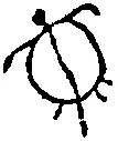 grnturtle copy.jpg