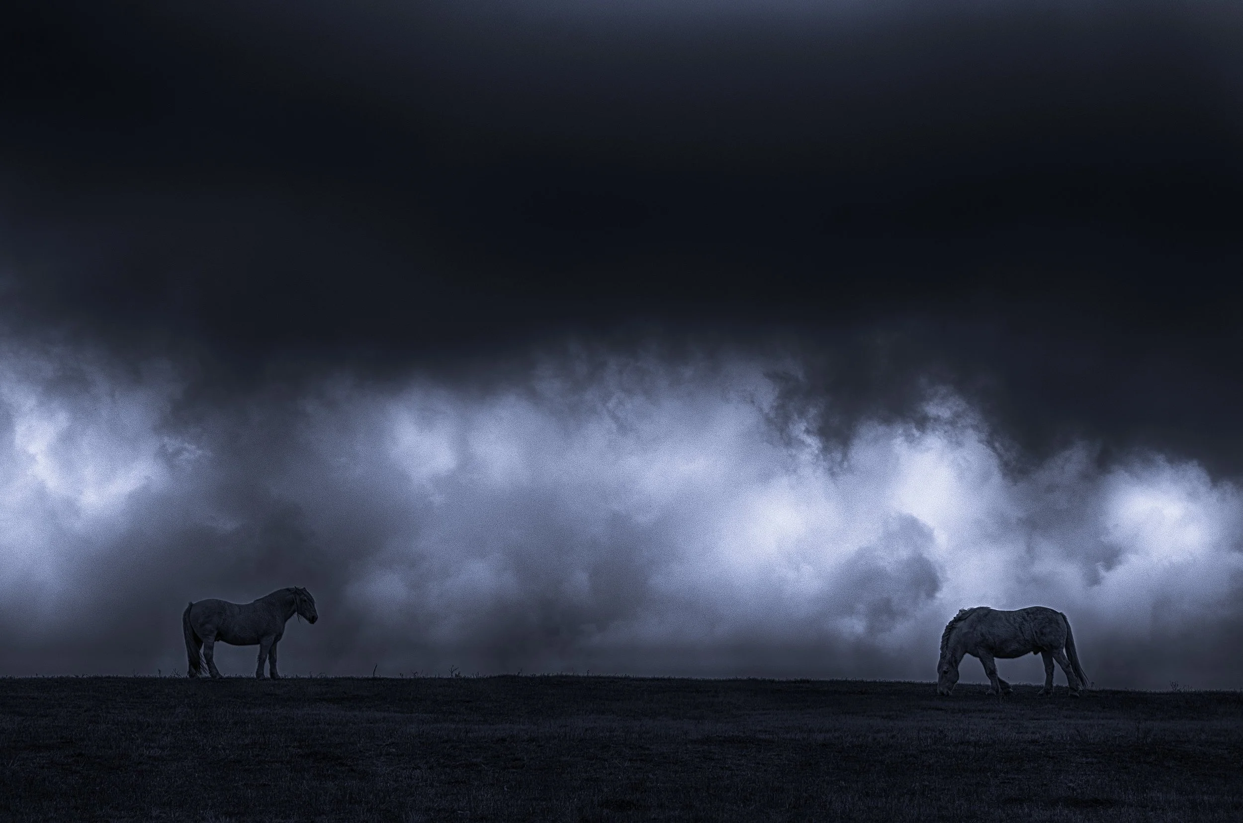 Two+horses+under+dramatic+skyFullRes.jpg